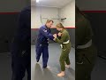 Judo takedown #bjj #brazilianjiujitsu #jiujitsu #judo #sambo #mma #wrestling #grappling