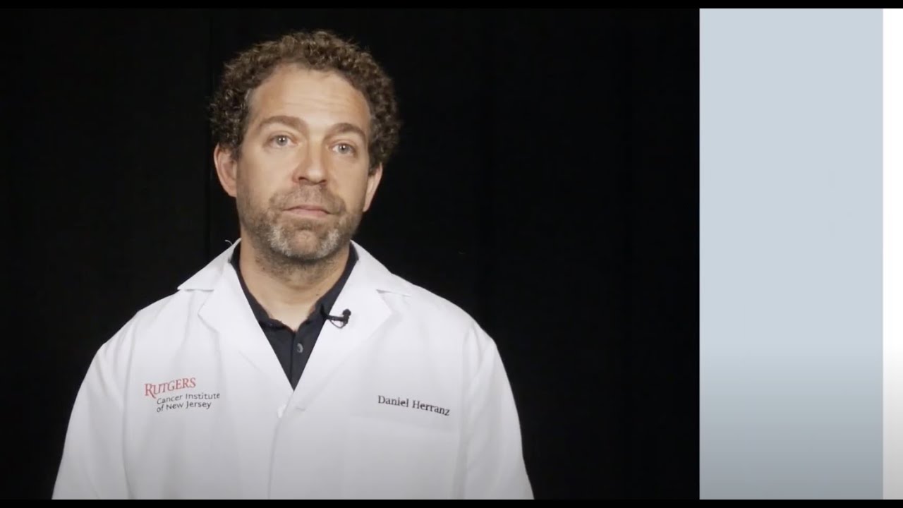 Dr. Daniel Herranz Benito Discusses his Research on Leukemia and Cancer Metabolism