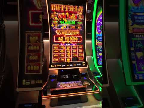 Huge Bet On Buffalo Link And I Get The Bonus!
