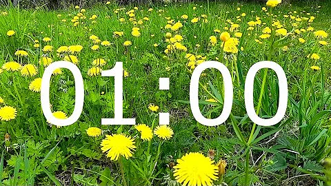 1 Minute Spring Timer with Relaxing Music and Flowers for Meditation