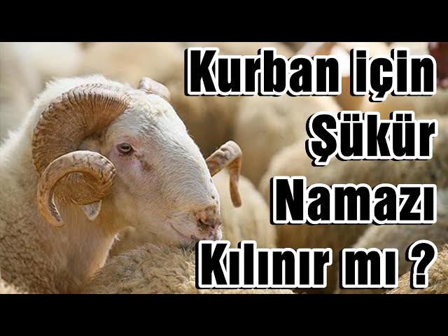 KURBAN İÇİN ŞÜKÜR NAMAZI KILINIR MI? | Vaiz Ali ÖZDEMİR