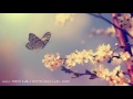 Conscious Sleep: Yoga Nidra Music for Deep Sleep, Extreme Relaxation