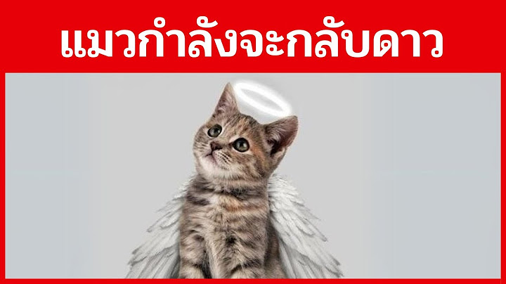 แมวกำลังจะตายหรือไม่? สัญญาณที่บ่งบอกว่าแมวของคุณกำลังใกล้จะถึงวาระสุดท้ายของชีวิต