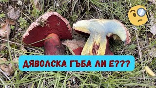 :  #   #!