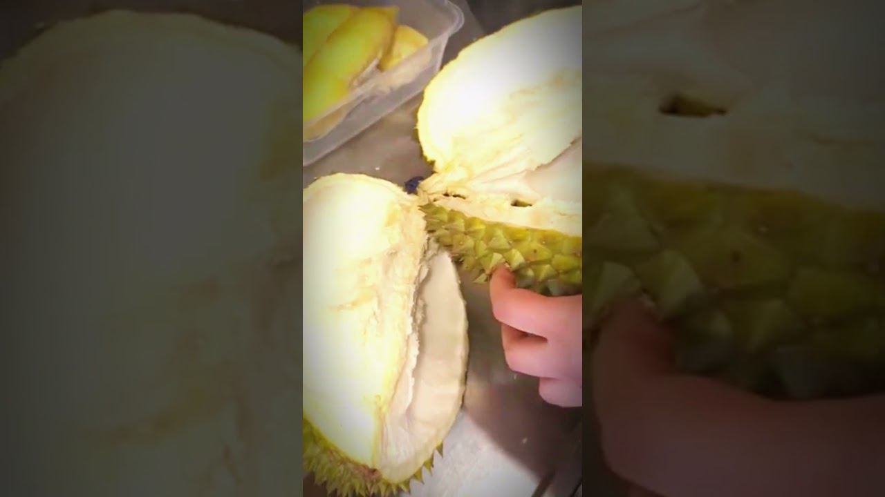 Skillful Durian Peeling in the Market! 🔪🍈 So Fast & Satisfying 