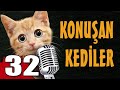 Konuşan Kediler 32 - En Komik Kedi Videoları