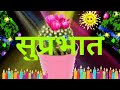 Good Morning Wishes, Whatsapp Video, status, Greetings, Animation, Messages, Quotes 6, 2018 Whatsapp Status Video Download Free