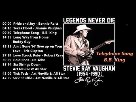 その他 Tribute to Stevie Ray Vaughan [DVD] Amazon.com: A Tribute to Stevie Ray Vaughan : Various: Movies & TV