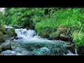 Gentle river sounds for relaxation and meditation