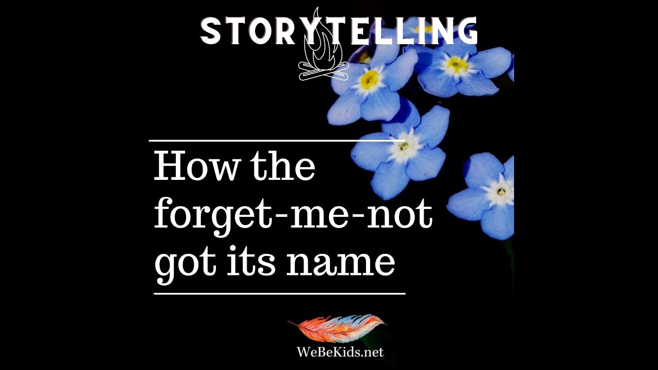 Storytelling How The Forget Me Not Got Its Name Youtube