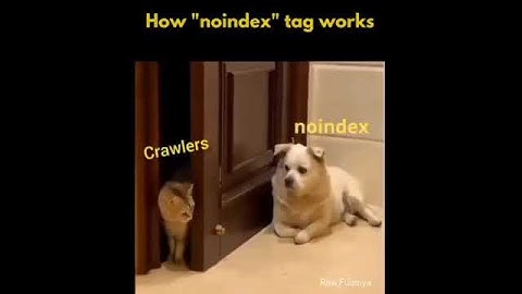 How A No-index Meta Tag Works