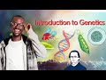 Unraveling Genetics: Exploring Genes, Heredity, and Variation