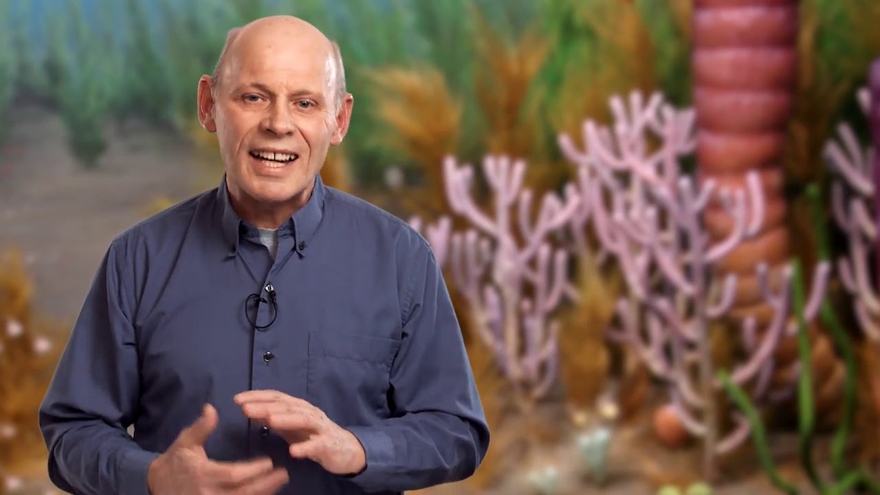 3.6 The Cambrian Explosion and exceptional preservation: Part 1 - Danny Eibye-Jacobsen - Origins -