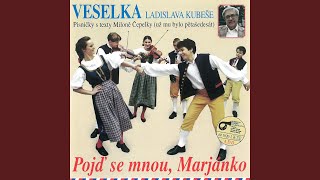 Nad lesní studánkou