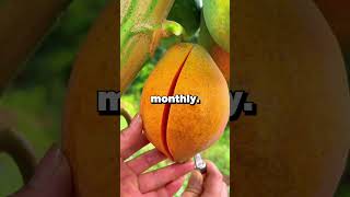 My husband secretly planned to divorce me and take everything, caught his scheme with proof and...