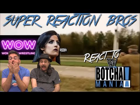 SRB Reacts to Botchamania 444
