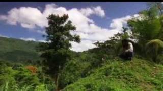 Rohan Marley and Marley Coffee on Restaurant Radio America with Dane and Tom.wmv