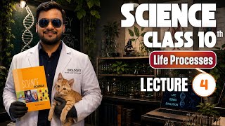 Life Processes | Class 10 Science NCERT Chapter 5 | Part 4 | True IAS and PCS