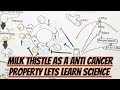 Milk thistle anticancer property learn mechanism