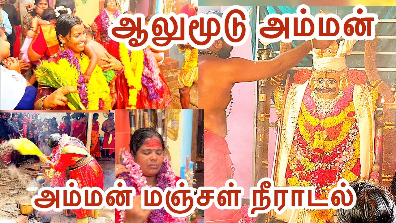 அம்பாங்காலை அருள்மிகு ஸ்ரீ ஆலுமூடு அம்மன் திருக்கோவில் எட்டாம்கொடை 06/10/2024