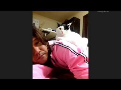 おれ、ねこ
