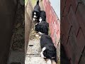 2026年4月27日