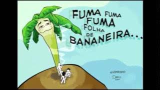 Download lagu ARMANDINHO FUMA FUMA FOLHA DE BANANEIRA