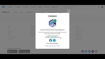 Salesforce Screen Flow Fundamentals Superbadge | Uitdaging 1 tot en met 5 | Volledige walkthrough