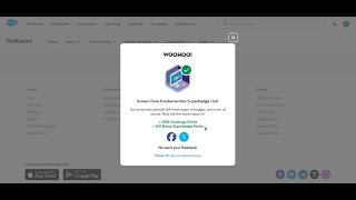 Salesforce Screen Flow Fundamentals Superbadge | Challenge 1 to 5 | Complete Walkthrough