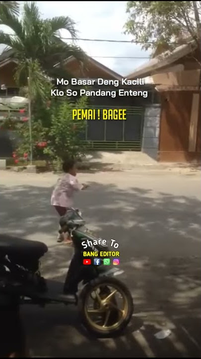 PEMAI BAGEE (STORY WA) - 🎶 (DHITO ALI ) STEREO HEARTS (FVNKY BANGER'Z) KAWENIMERY