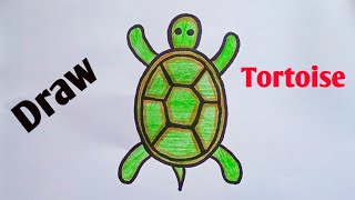 HOW TO DRAW A TORTOISE II EASY DRAW COLOR TORTOISE II