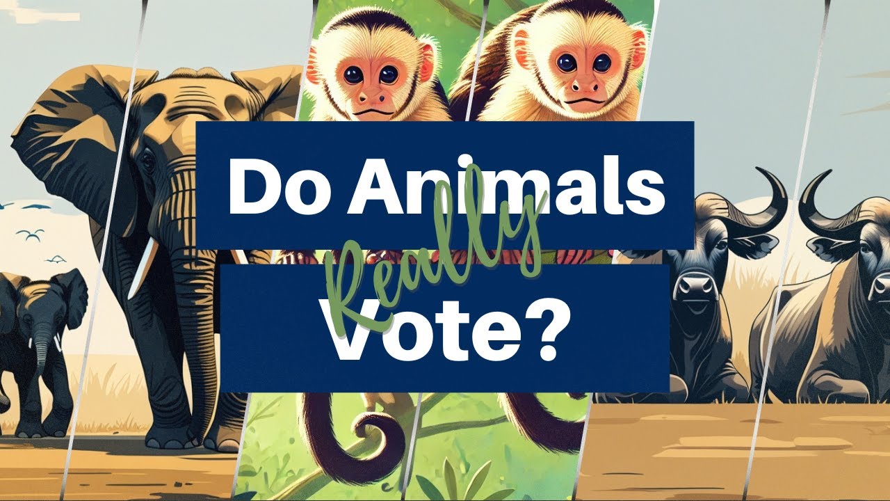 Democracy in the Wild: Animals That Vote! - YouTube