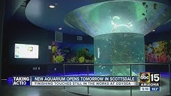 OdySea Aquarium opens Saturday in Scottsdale 