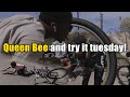 Getting Queen Bee and Fails at Try It Tuesday! (vlog)