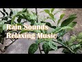 Relaxing music rain sounds relaxation sleep natural sounds relaxation music and rain sounds