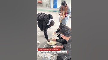 Automatic Pineapple Juice Making Machine