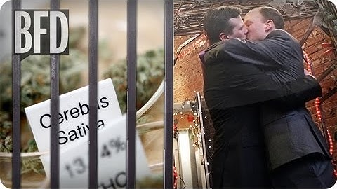 Down with the War on Drugs! Up with Marriage Equality!  | Brain Food Daily | TakePart TV