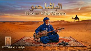 الباشا حمو - موسيقى كناوة | Desert Blues & Gnawa Soul