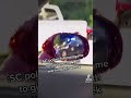 #shorts #youtubeshorts #cars SC POLICE BE LIKE