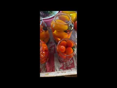 Очень вкусные маринованные помидоры с секретным ингредиентом.