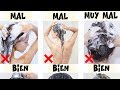 Haz estado lavando MAL tu cabello TODO ESTE TIEMPO | Aprende a hacerlo bien