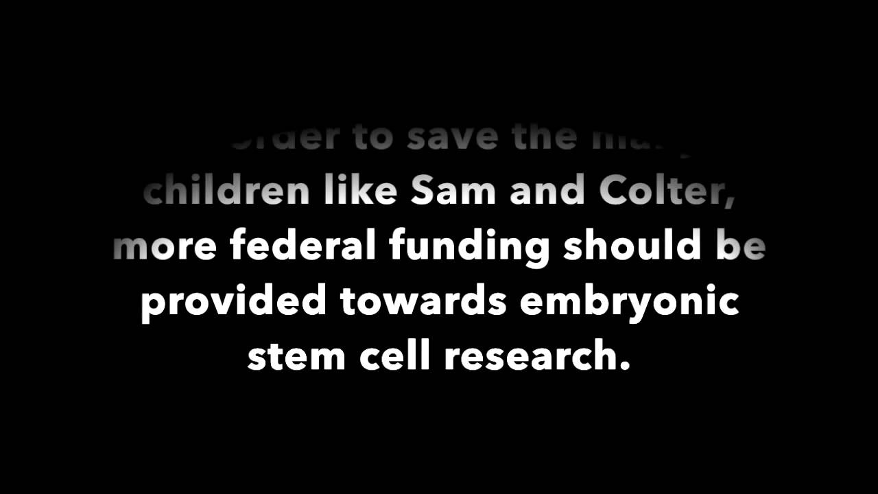 Why Is Embryonic Stem Cell Research Wrong