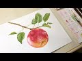 Реалистичное яблоко. Живопись акварелью. Как нарисовать яблоко. How to draw an apple in watercolor.