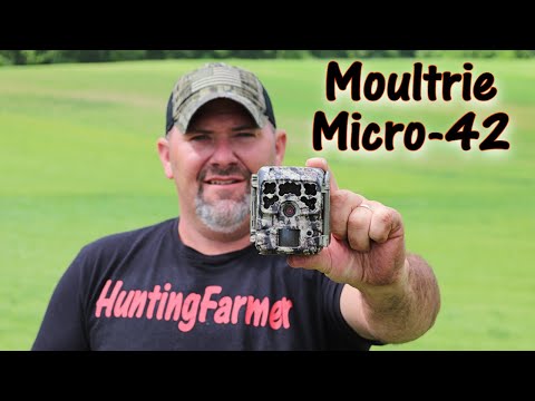 Moultrie Micro-42 world''s smallest trail camera??? Review and Field Testing w/sample photos videos