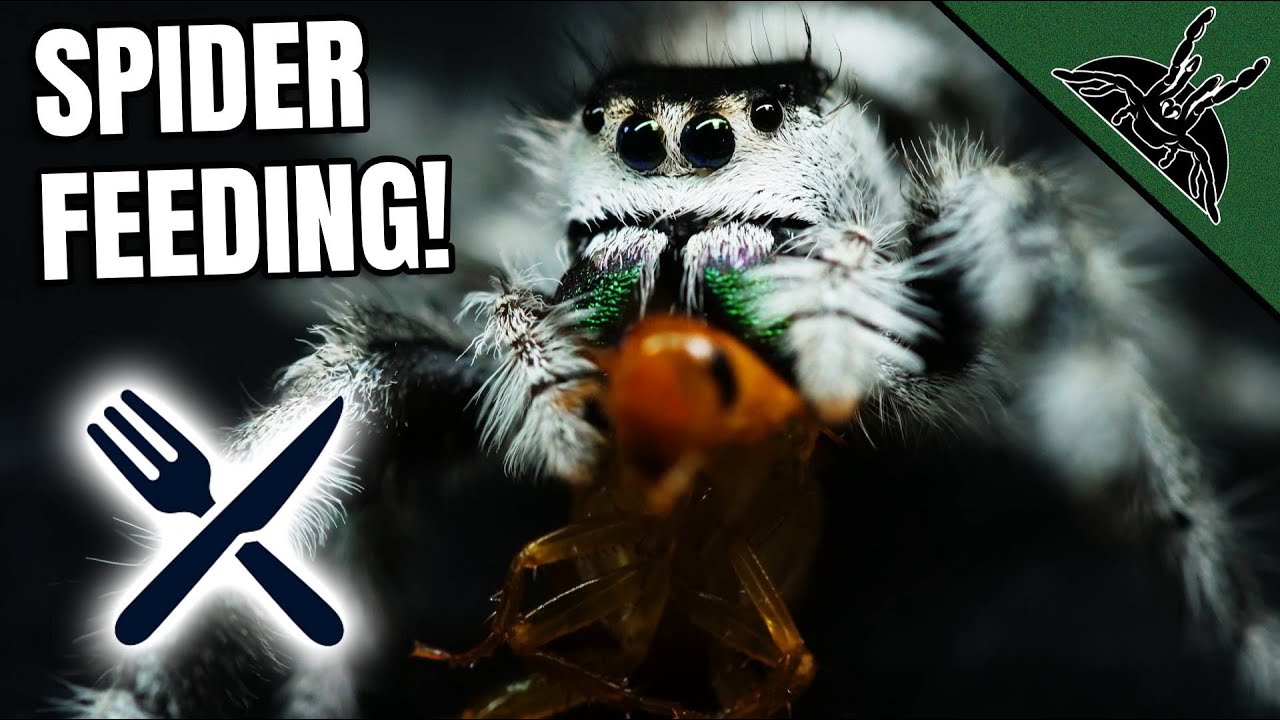 Все прошло на удивление хорошо!