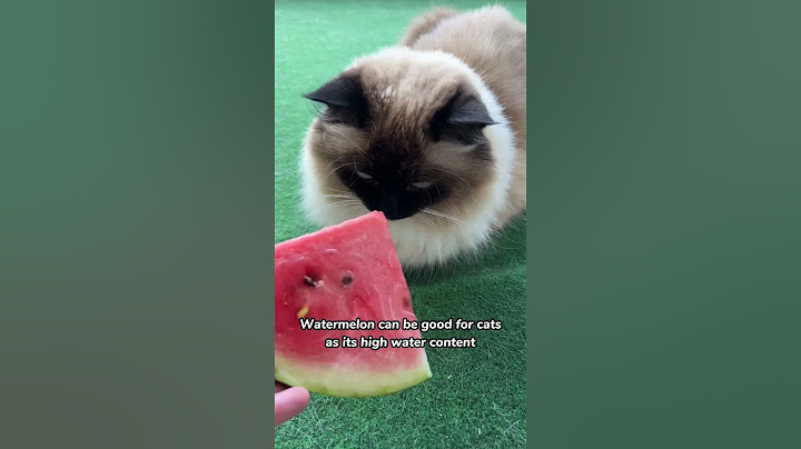 Can cats eat watermelon?