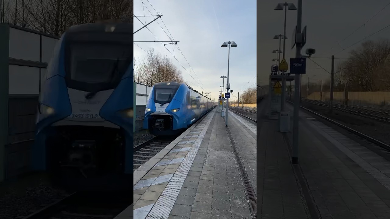 3 GABY Siemens Mireo fahren als RB87/86 nach München Hbf mit 160 km/h in Althegnenberg durch