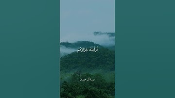 وَالَّذِينَ إِذَا فَعَلُوا فَاحِشَةً أَوْ ظَلَمُوا أَنفُسَهُمْ || سورة آل عمران || علي جابر