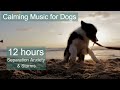 CALMING music for dogs during fireworks and storms - 12 hours of dog music - music for puppies