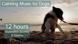 CALMING music for dogs during fireworks and storms - 12 hours of dog music - music for puppies